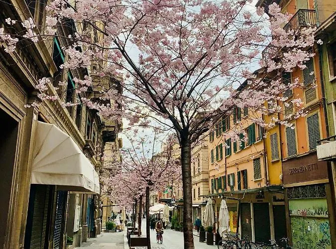 Appartamento Palazzo Dei Notai Bologna