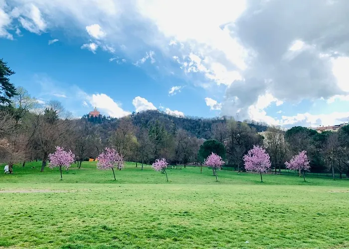 Palazzo Dei Notai Bologna